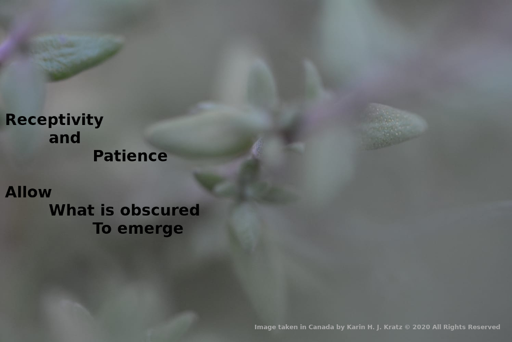 Image of Sage emerging from fog